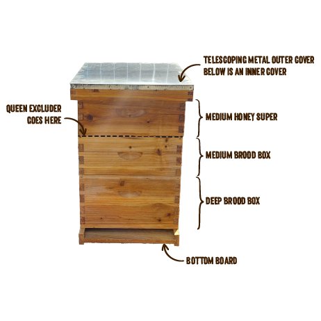 Ideal Hive Configuration for North Florida - Bee Friends Farm