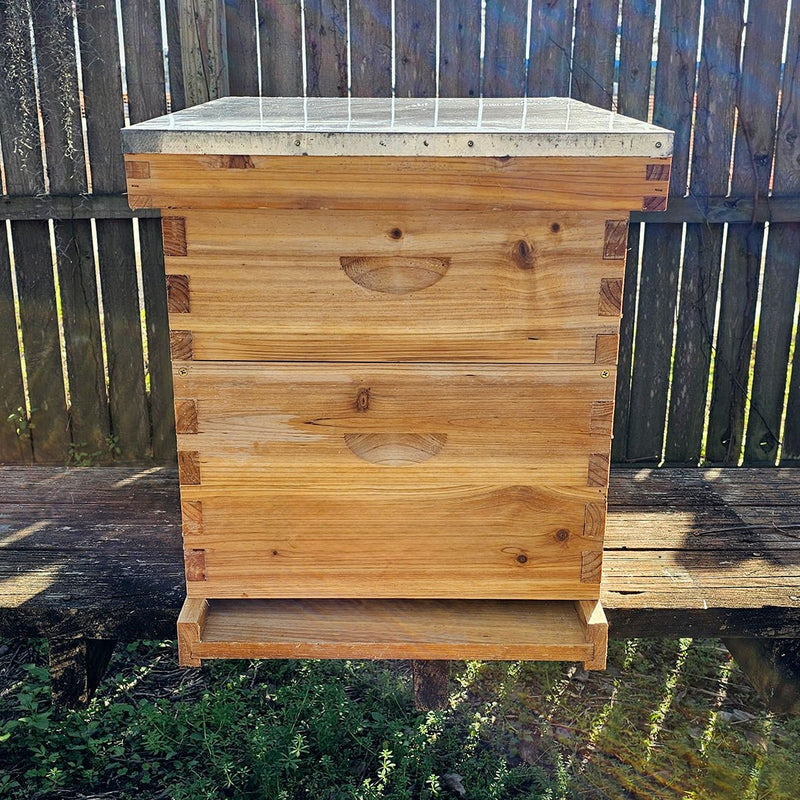 10 Frame - Assembled Hive Kits (No Bees) - Bee Friends Farm