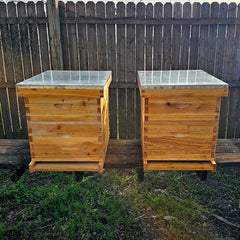 Honey Bees For Sale - 5-Frame Nucs: Pre-Order for Spring 2022 - Bee Friends Farm