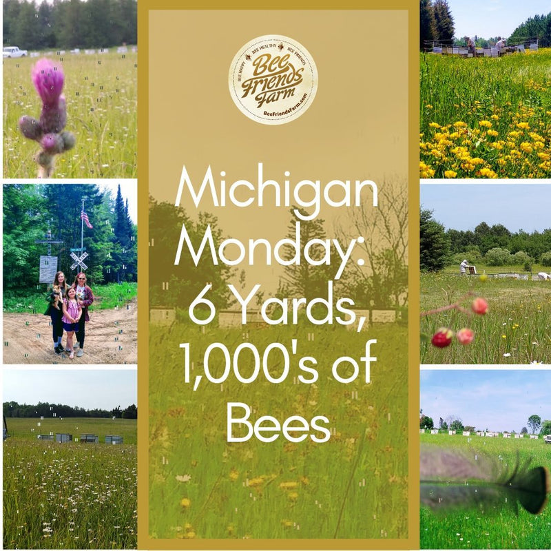 7/6: 6 Bee Yards, 1,000’s of Bees! - Bee Friends Farm