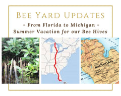 Honey Bee Summer Vacation 2020 - Bee Friends Farm
