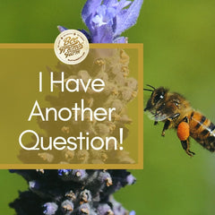 Still have a question about honey and honey bees? - Bee Friends Farm