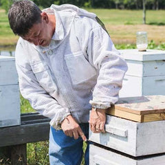 The Importance of the Hive Tool in Beekeeping - Bee Friends Farm