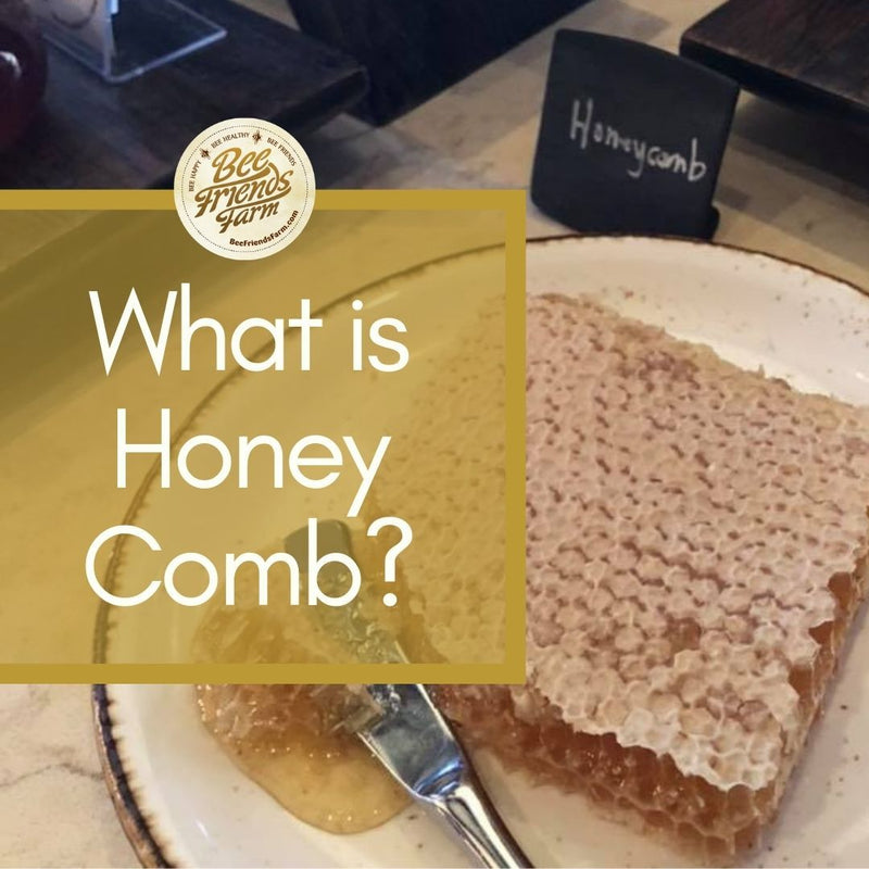What is honeycomb? - Bee Friends Farm