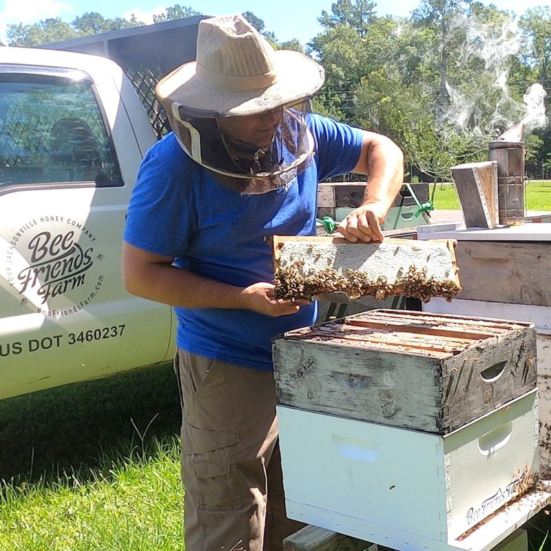 Commonly Used Beekeeping Terms and Their Meaning - Bee Friends Farm