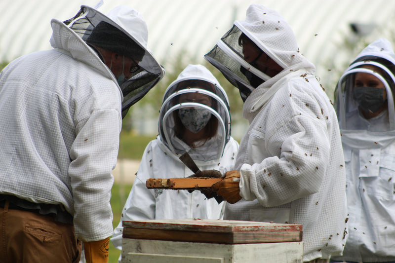 Beekeeping Experience Jacksonville