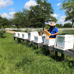 Bee Friends Farm