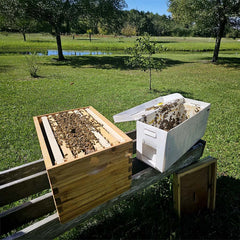 Bee Friends Farm photo 2