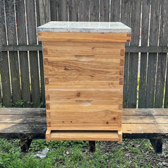 10 Frame - Assembled Hive Kits (No Bees) - Bee Friends Farm