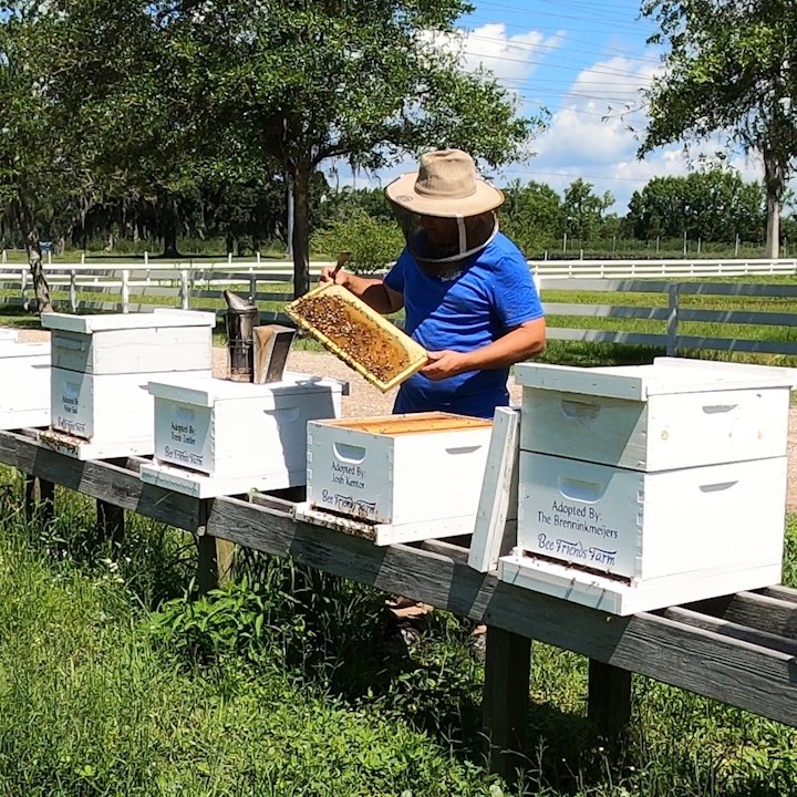 Adopt a Honey Bee Hive - Bee Friends Farm