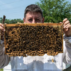 Adopt a Honey Bee Hive - Bee Friends Farm