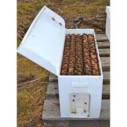 Honey Bees For Sale - 5-Frame Nucs: Pre-Order for Spring 2022 - Bee Friends Farm