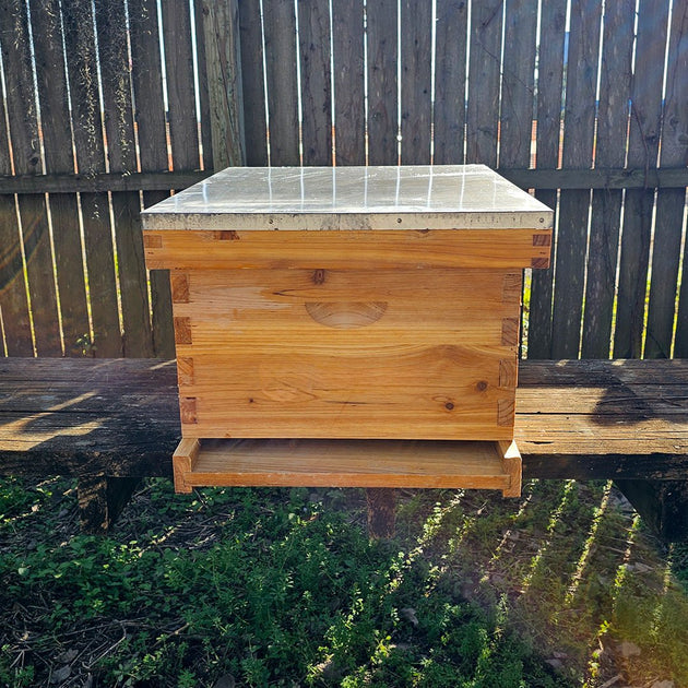 Honey Bees For Sale - 5-Frame Nucs: Pre-Order for Spring | Bee Friends Farm