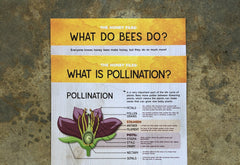 Kids Education: Honey Bee Activity Kit - Bee Friends Farm